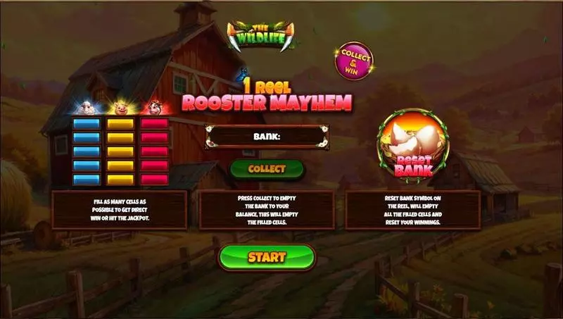 1 Reel – Rooster Mayhem  Real Money Slot made by Spinomenal - Introduction Screen