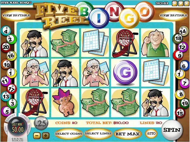 5 Reel Bingo  Real Money Slot made by Rival - Main Screen Reels