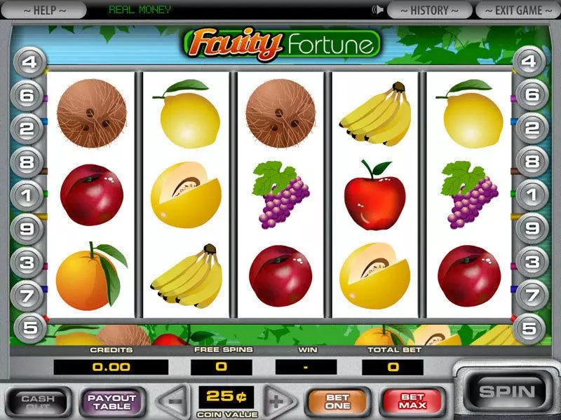 5-Reel Fruity Fortune  Real Money Slot made by DGS - Main Screen Reels