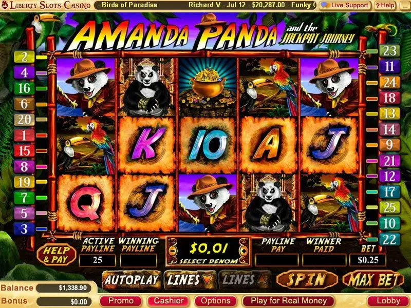 Amanda Panda  Real Money Slot made by WGS Technology - Main Screen Reels
