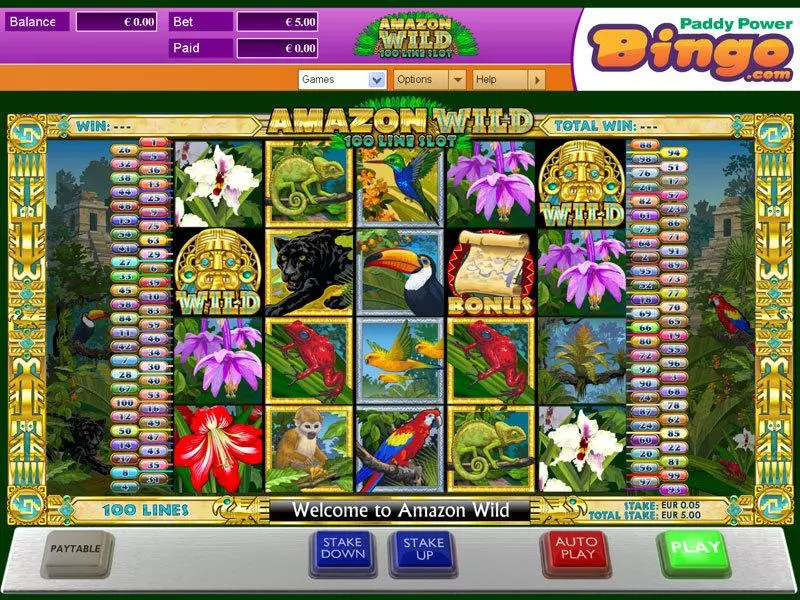 Amazon Wild  Real Money Slot made by Amaya - Main Screen Reels