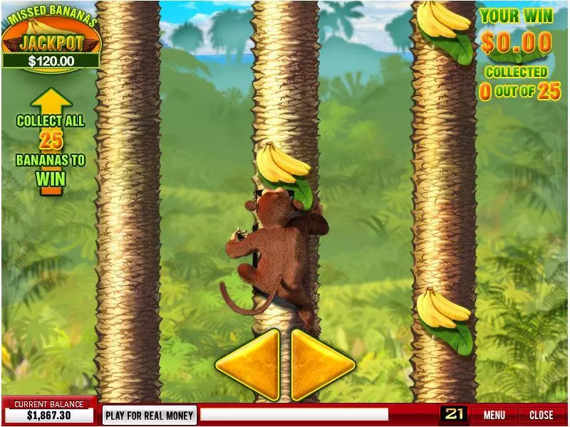 Banana Monkey  Real Money Slot made by PlayTech - Bonus 2