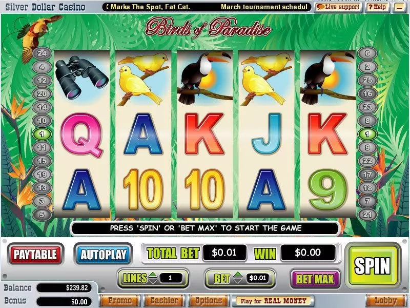 Birds of Paradise  Real Money Slot made by WGS Technology - Main Screen Reels