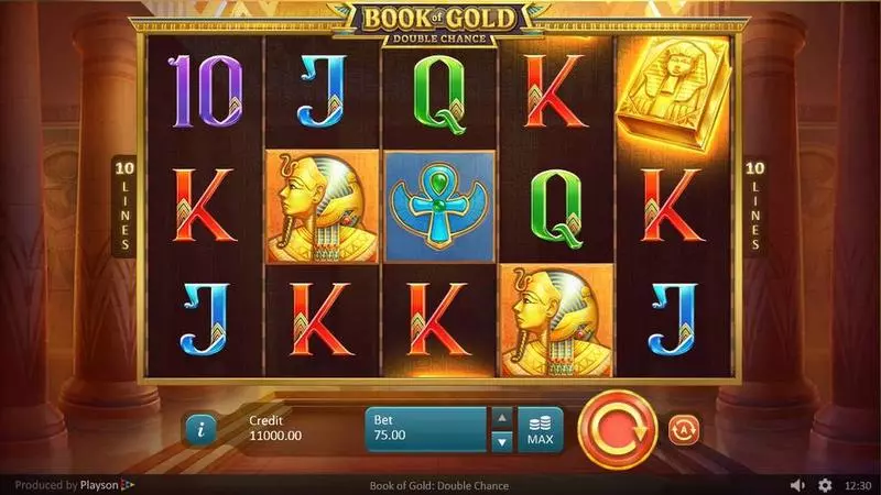 Book of Gold: Double Chance  Real Money Slot made by Playson - Main Screen Reels