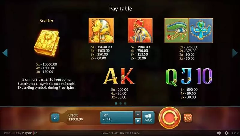 Book of Gold: Double Chance  Real Money Slot made by Playson - Paytable