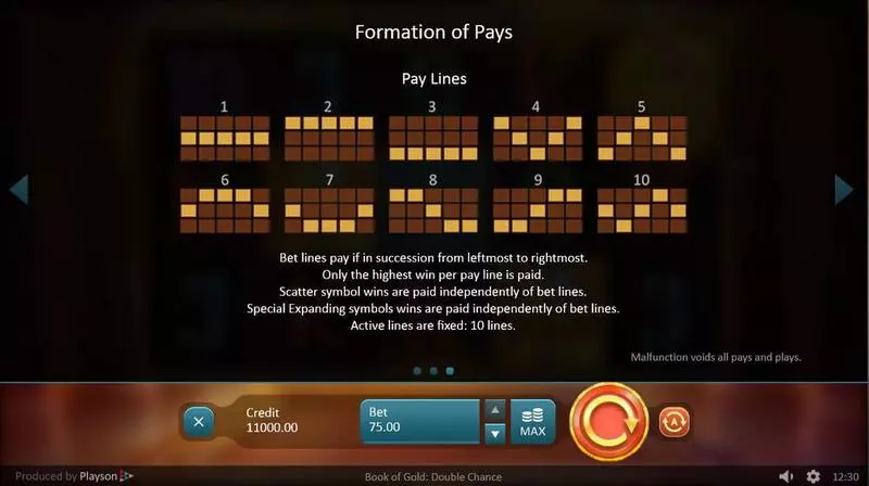 Book of Gold: Double Chance  Real Money Slot made by Playson - Info and Rules