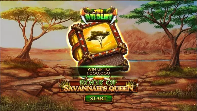 Book Of Savannah’s Queen  Real Money Slot made by Spinomenal - Introduction Screen