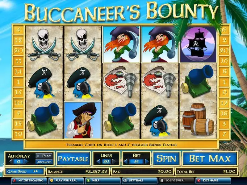 Buccaneer's Bounty 20 Lines  Real Money Slot made by CryptoLogic - Main Screen Reels