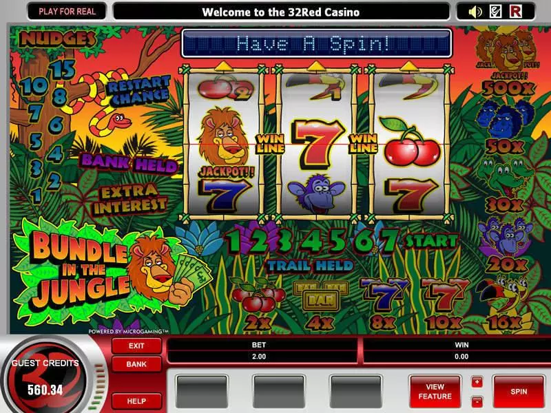 Bundle in the Jungle  Real Money Slot made by Microgaming - Main Screen Reels