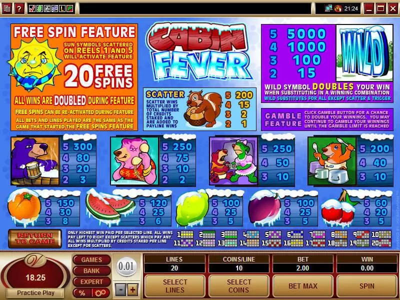 Cabin Fever  Real Money Slot made by Microgaming - Info and Rules