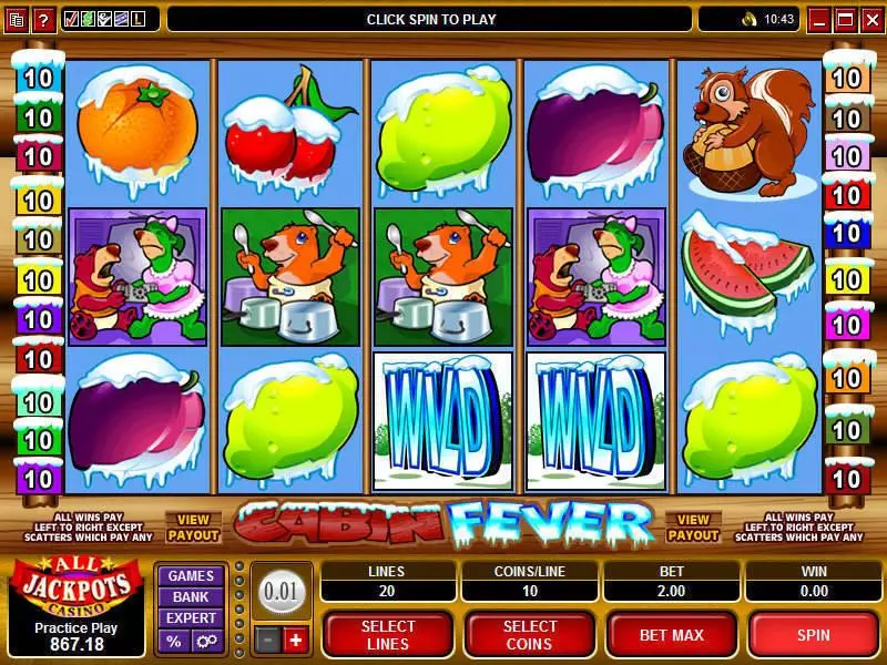 Cabin Fever  Real Money Slot made by Microgaming - Main Screen Reels