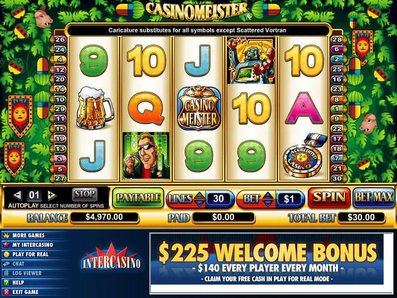 CasinoMeister  Real Money Slot made by CryptoLogic - Main Screen Reels