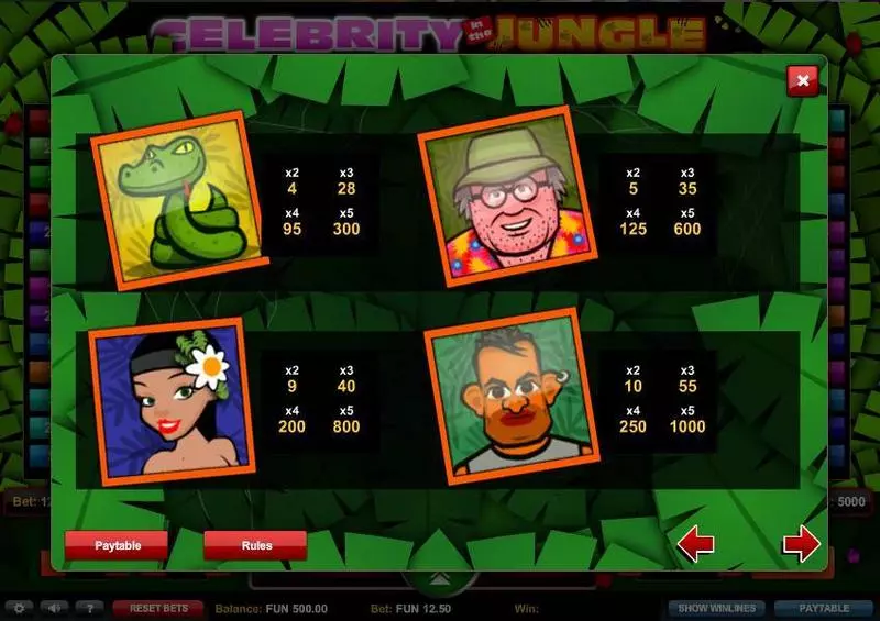 Celebrity in the Jungle  Real Money Slot made by 1x2 Gaming - Bonus 1