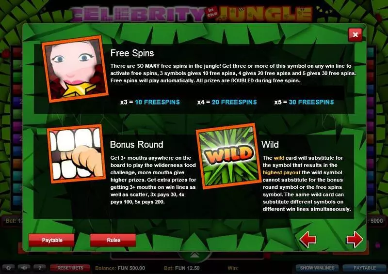 Celebrity in the Jungle  Real Money Slot made by 1x2 Gaming - Bonus 2