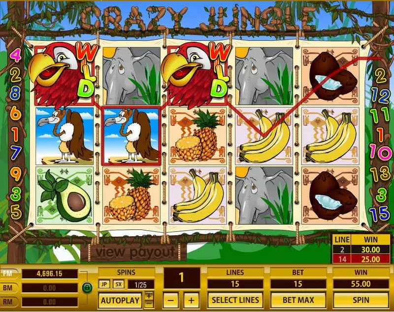 Crazy Jungle  Real Money Slot made by Topgame - Main Screen Reels