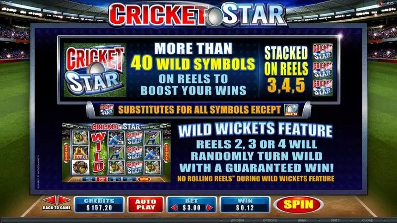 Cricket Star  Real Money Slot made by Microgaming - Info and Rules