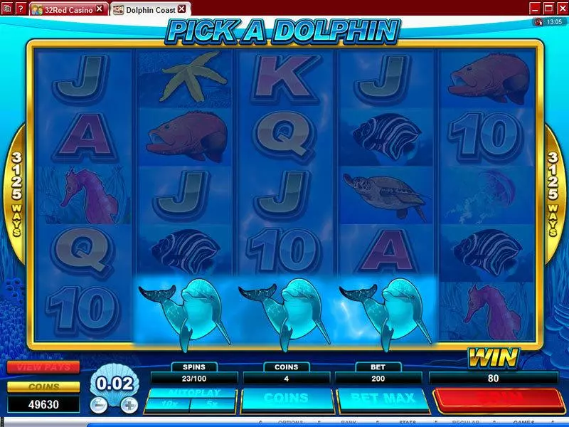 Dolphin Coast  Real Money Slot made by Microgaming - Bonus 1
