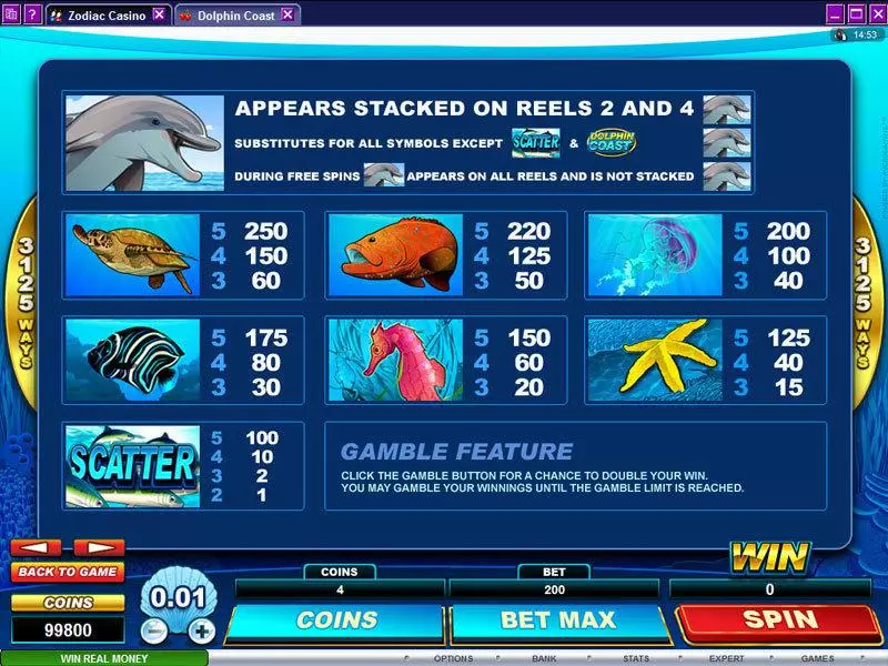 Dolphin Coast  Real Money Slot made by Microgaming - Info and Rules