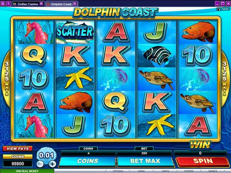 Dolphin Coast  Real Money Slot made by Microgaming - Main Screen Reels