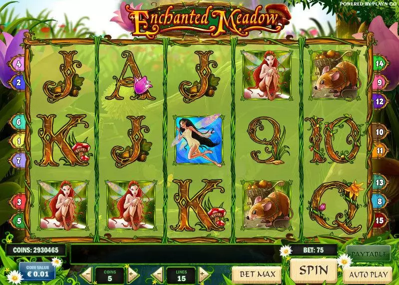 Enchanted Meadow  Real Money Slot made by Play'n GO - Main Screen Reels
