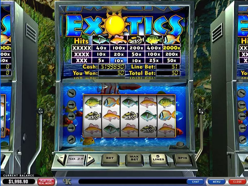 Exotics  Real Money Slot made by PlayTech - Main Screen Reels