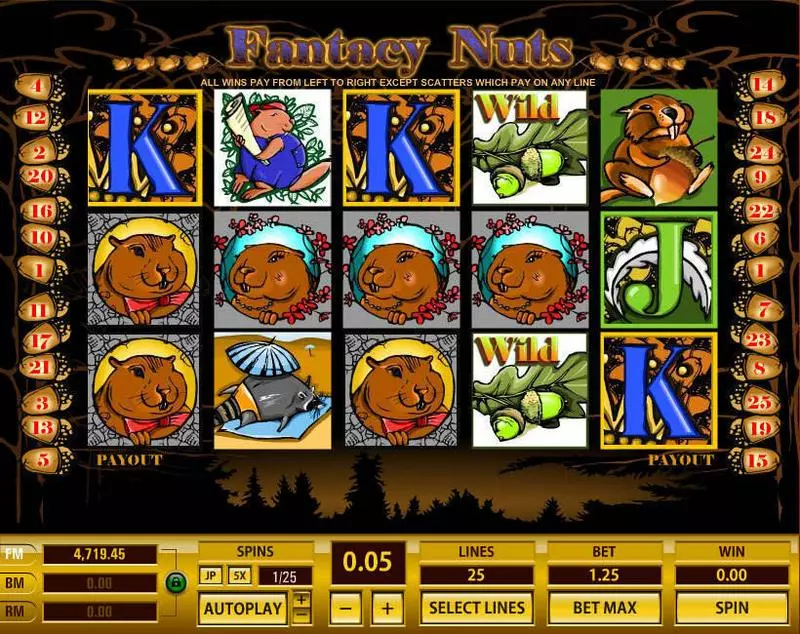 Fantacy Nuts  Real Money Slot made by Topgame - Main Screen Reels