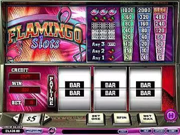 Flamingo  Real Money Slot made by PlayTech - Main Screen Reels