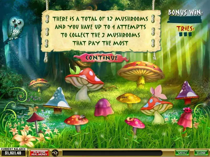 Forest of Wonders  Real Money Slot made by PlayTech - Bonus 1