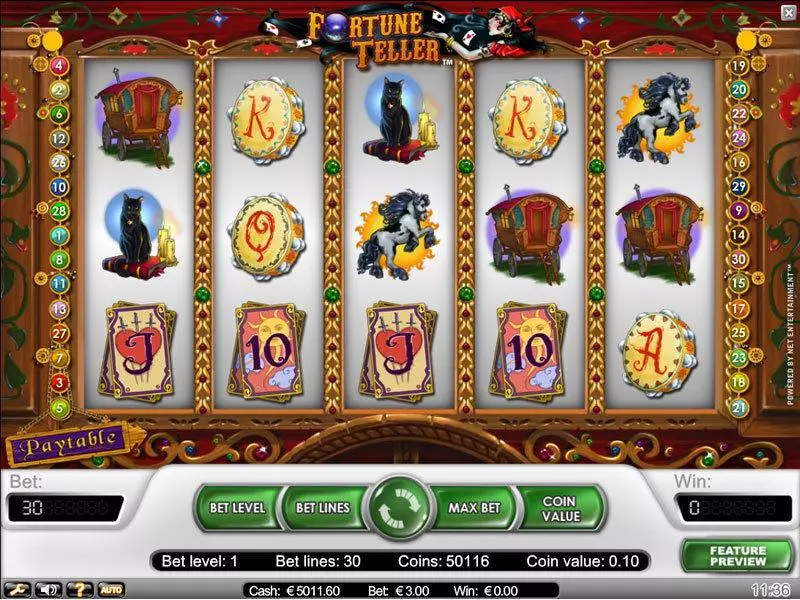 Fortune Teller  Real Money Slot made by NetEnt - Main Screen Reels