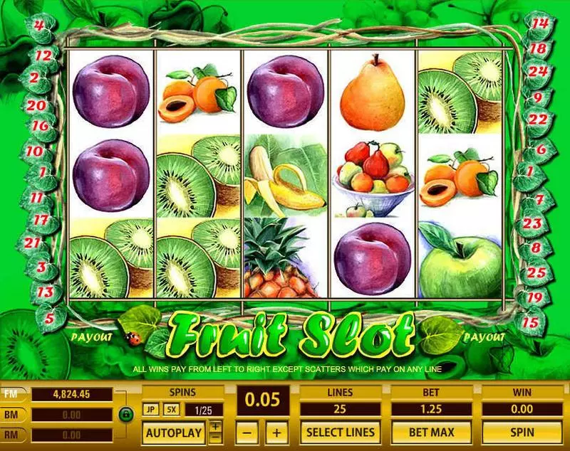 Fruit 25 Lines  Real Money Slot made by Topgame - Main Screen Reels