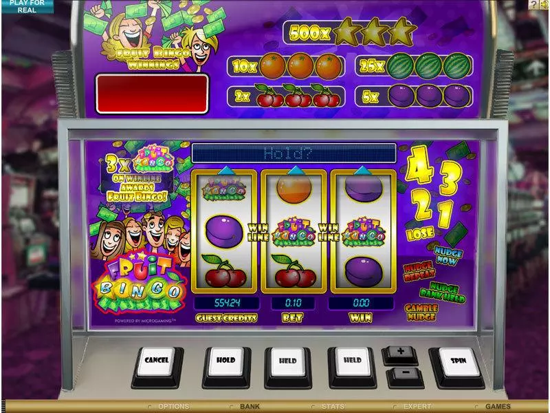 Fruit Bingo  Real Money Slot made by Microgaming - Main Screen Reels