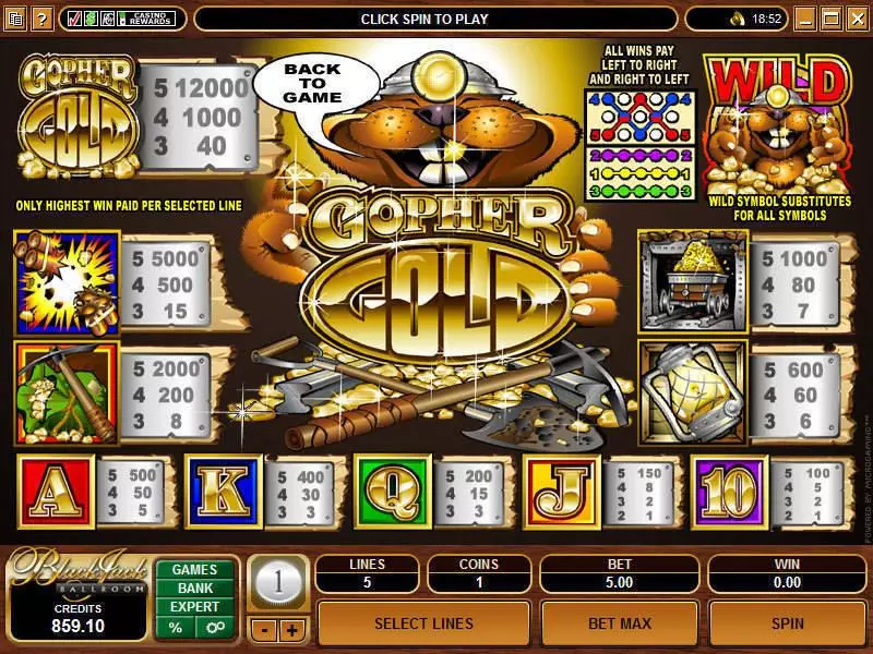 Gopher Gold  Real Money Slot made by Microgaming - Info and Rules