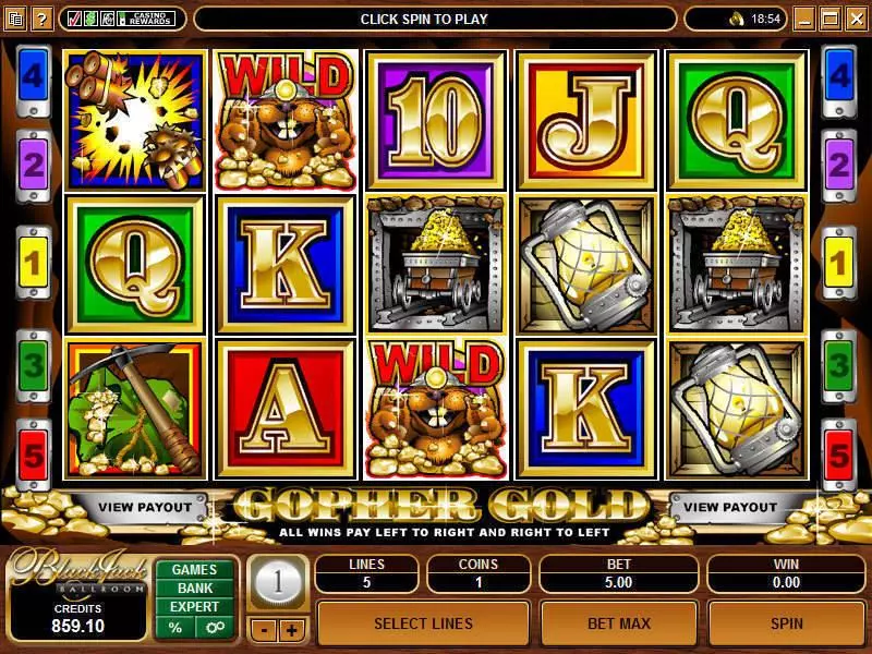 Gopher Gold  Real Money Slot made by Microgaming - Main Screen Reels