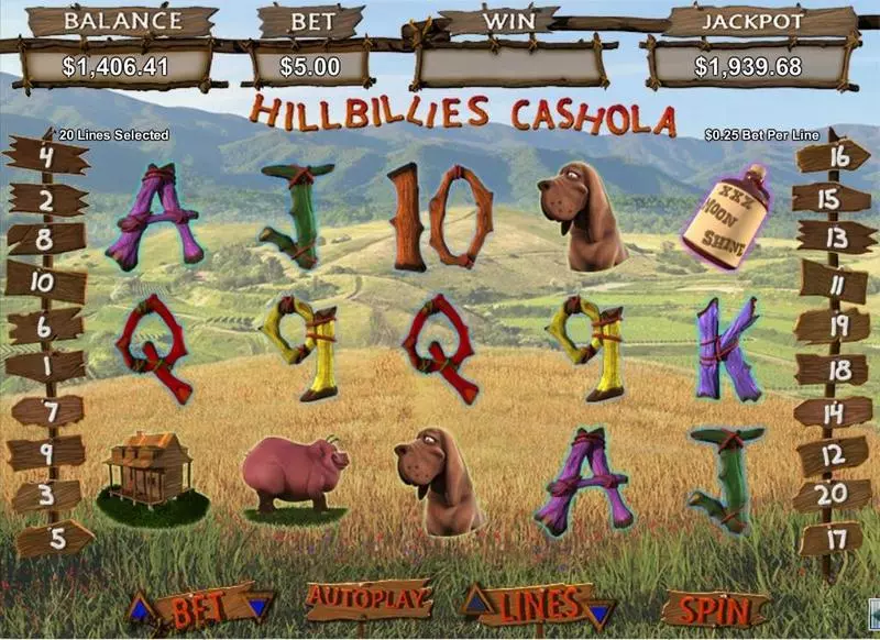 Hillbillies Cashhola  Real Money Slot made by RTG - Main Screen Reels