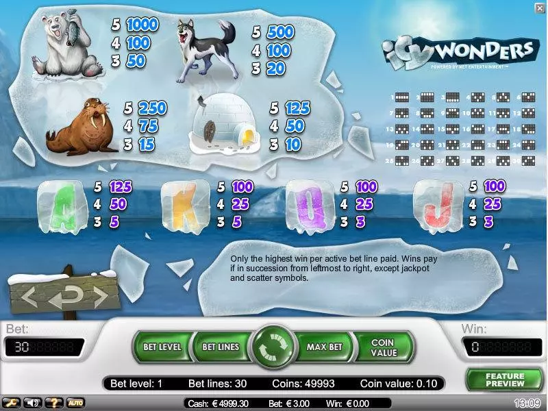 Icy Wonders  Real Money Slot made by NetEnt - Info and Rules