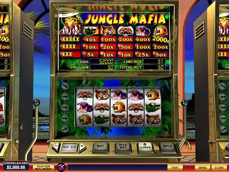 Jungle Mafia  Real Money Slot made by PlayTech - Main Screen Reels