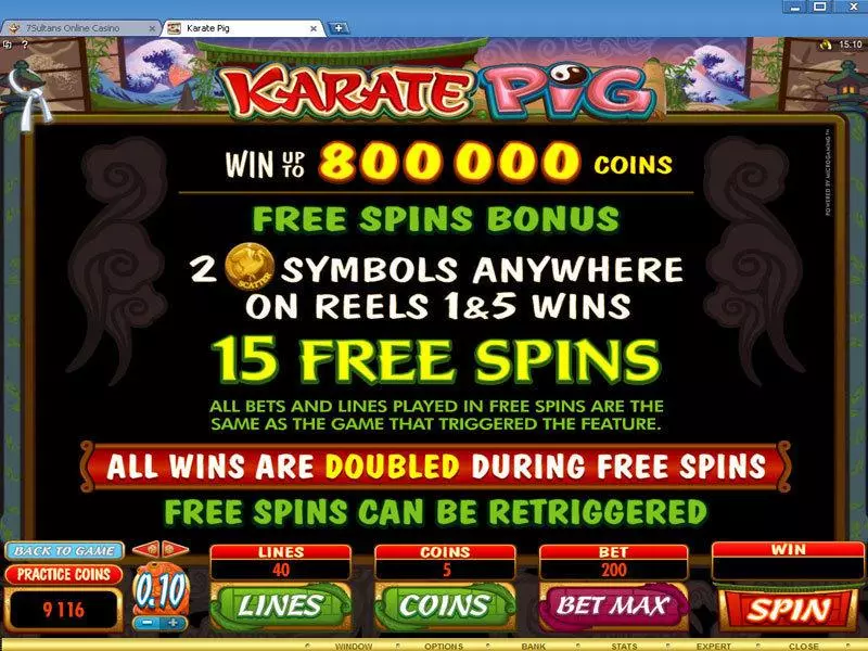 Karate Pig  Real Money Slot made by Microgaming - Bonus 2