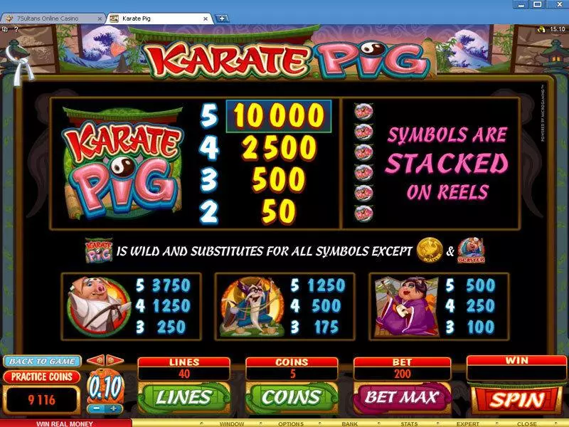 Karate Pig  Real Money Slot made by Microgaming - Info and Rules