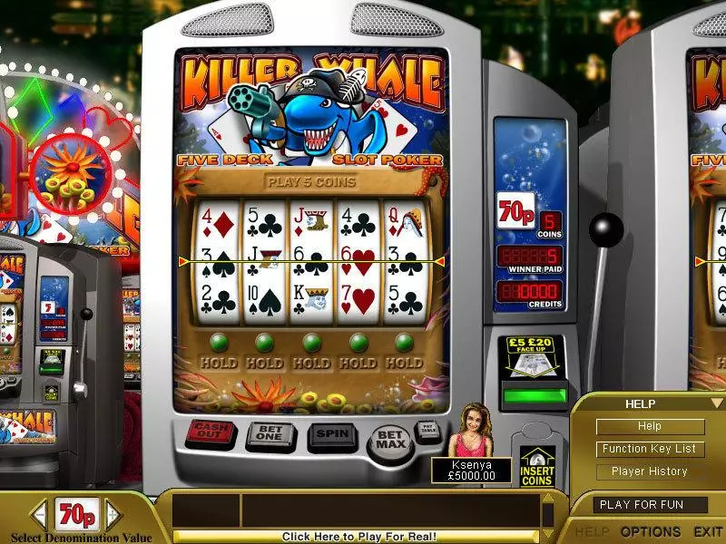 Killer Whale Poker  Real Money Slot made by Boss Media - Main Screen Reels