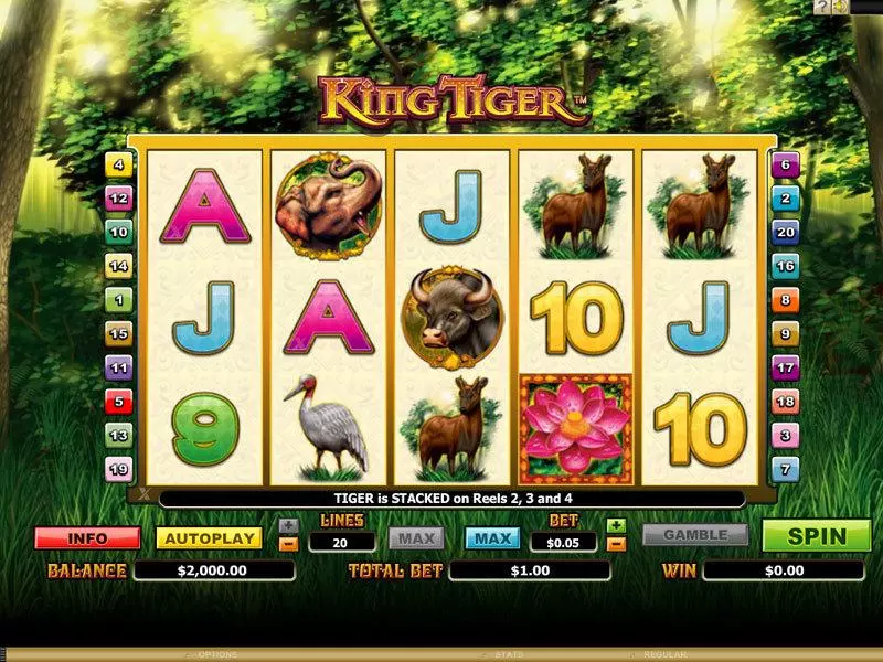 King Tiger  Real Money Slot made by Microgaming - Main Screen Reels