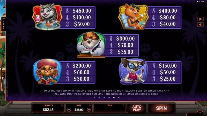 Kitty Cabana  Real Money Slot made by Microgaming - Info and Rules