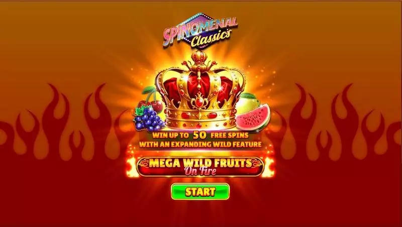 Mega Wild Fruits – On Fire  Real Money Slot made by Spinomenal - Introduction Screen