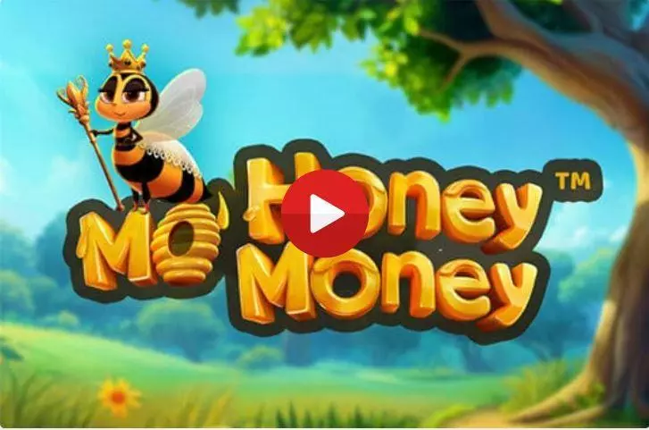 Mo Honey Mo Money  Real Money Slot made by Dragon Gaming - Introduction Screen