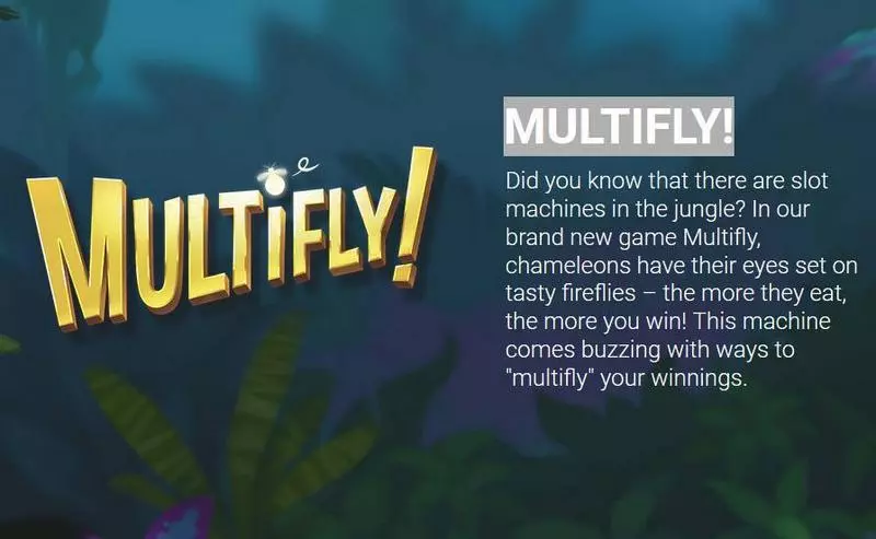 Multifly!  Real Money Slot made by Yggdrasil - Info and Rules