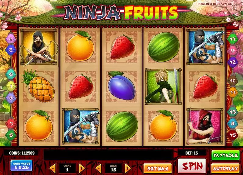 Ninja Fruits  Real Money Slot made by Play'n GO - Main Screen Reels