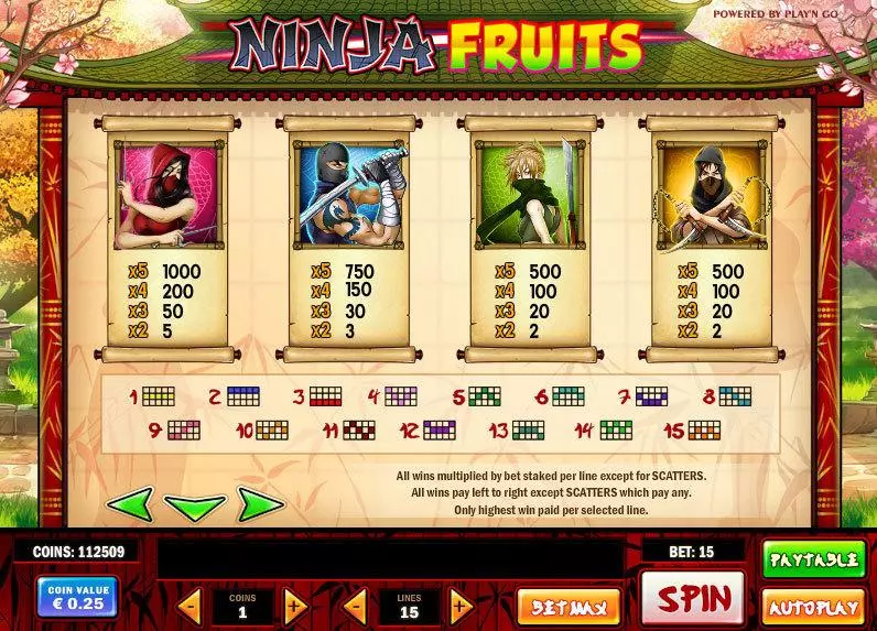 Ninja Fruits  Real Money Slot made by Play'n GO - Info and Rules
