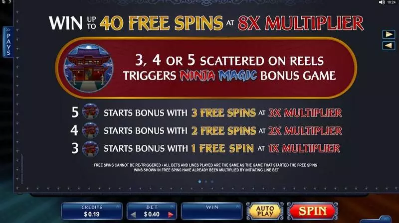 Ninja Magic  Real Money Slot made by Microgaming - Info and Rules