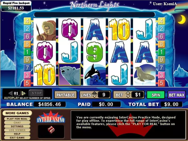 Northern Lights  Real Money Slot made by CryptoLogic - Main Screen Reels