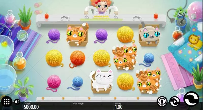 Not Enough Kittens  Real Money Slot made by Thunderkick - Main Screen Reels