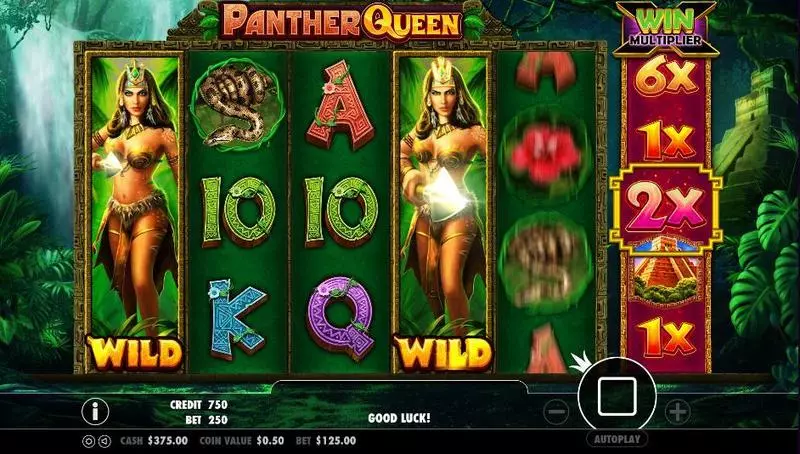 Panther Queen  Real Money Slot made by PartyGaming - Main Screen Reels